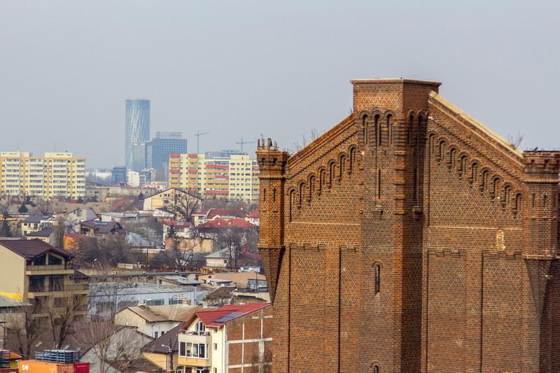 Lizeanu - Universitate