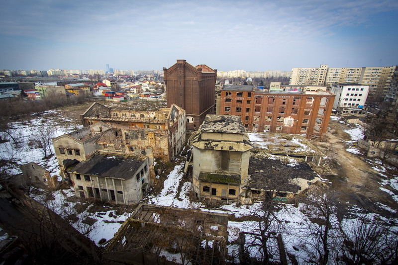 Lizeanu - Universitate