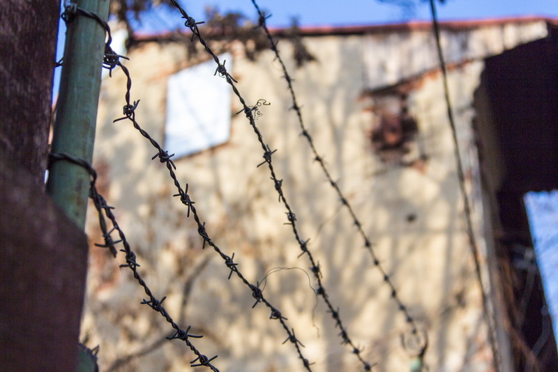 Lizeanu - Universitate