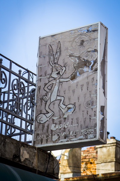 Lizeanu - Universitate