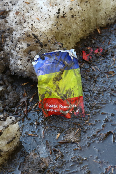 Lizeanu - Universitate