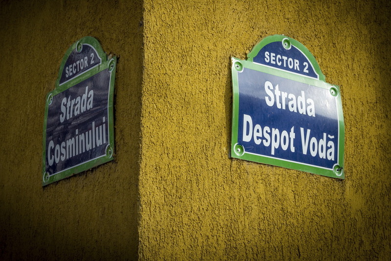 Lizeanu - Universitate