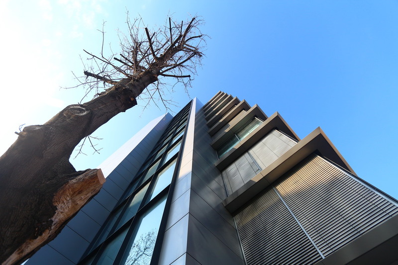 Lizeanu - Universitate