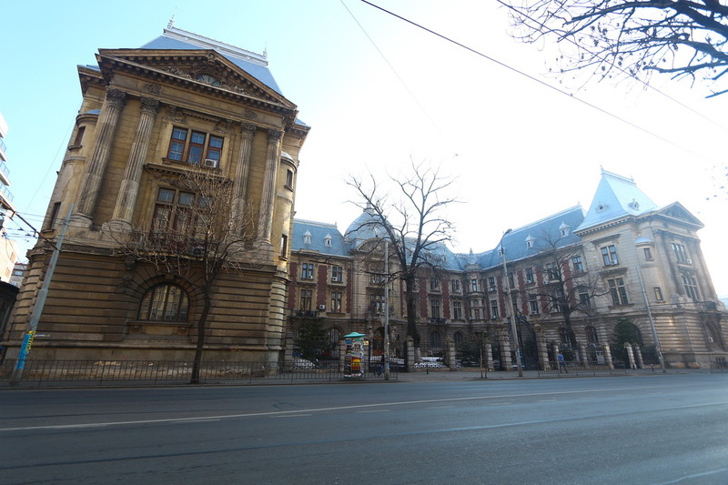 Lizeanu - Universitate