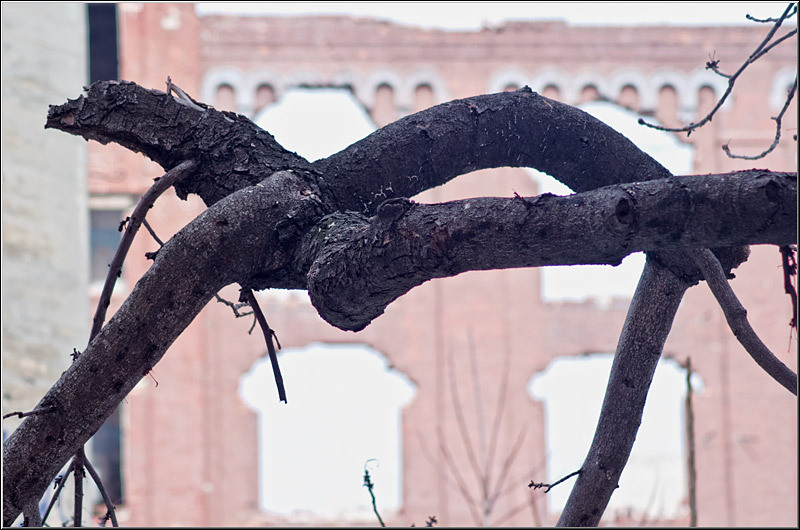 serbanvornicu_lizeanu_11