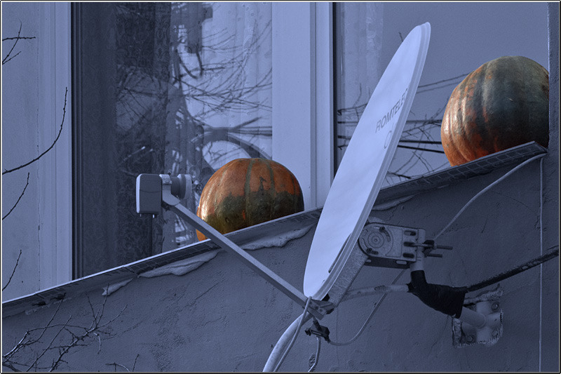 serbanvornicu_lizeanu_20