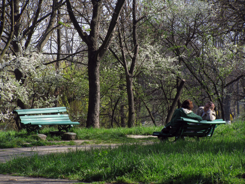 20090404_cpopescu_10