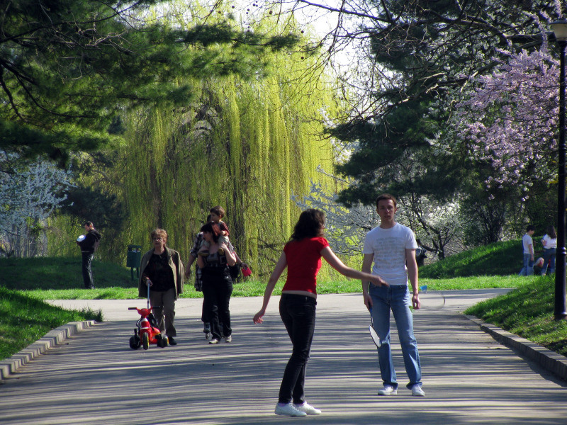 20090404_cpopescu_11