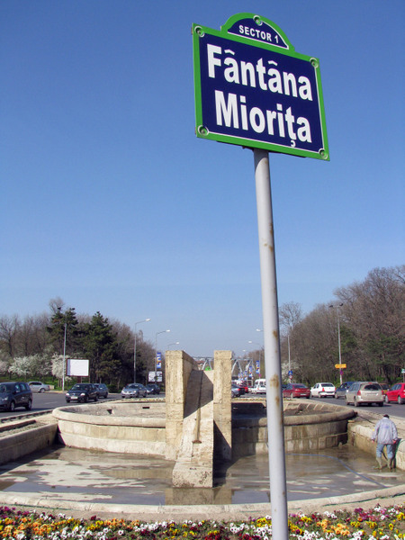 20090404_cpopescu_19