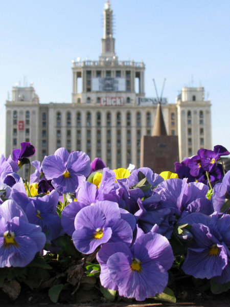 20090404_cpopescu_20