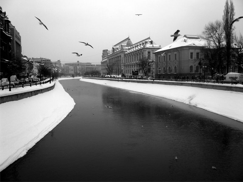 adriana-manolache_print