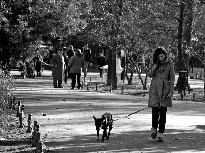 andreia-birsan_print