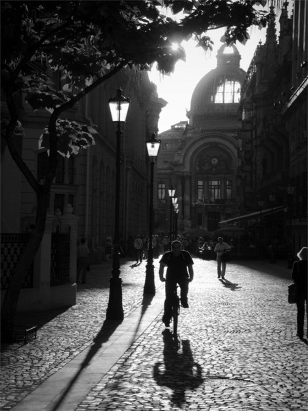 cornel-hlupina_print