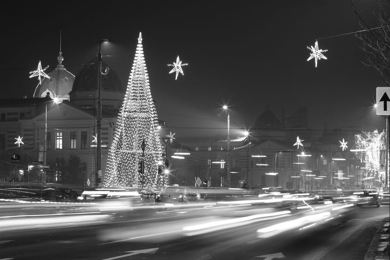 cornel-liviu-manescu