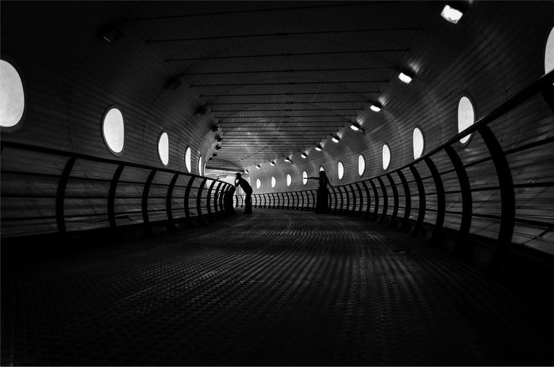 daria-raducanu_print