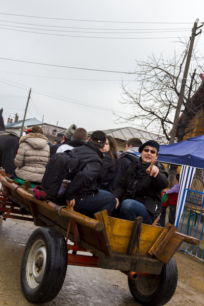 Portrete de Tudorita