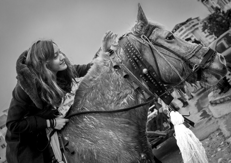 Portrete de Tudorita