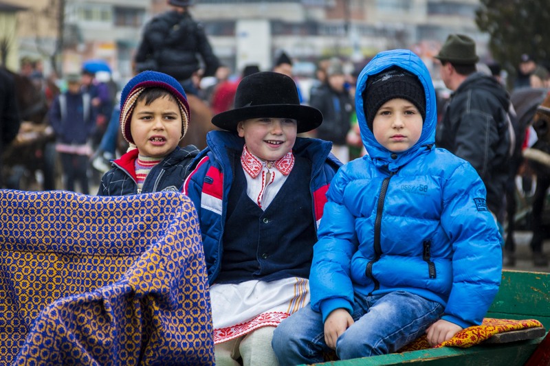 Portrete de Tudorita