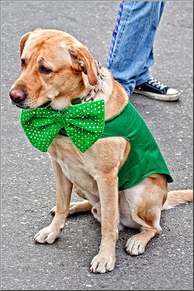 serbanvornicu_saintpatrick_14