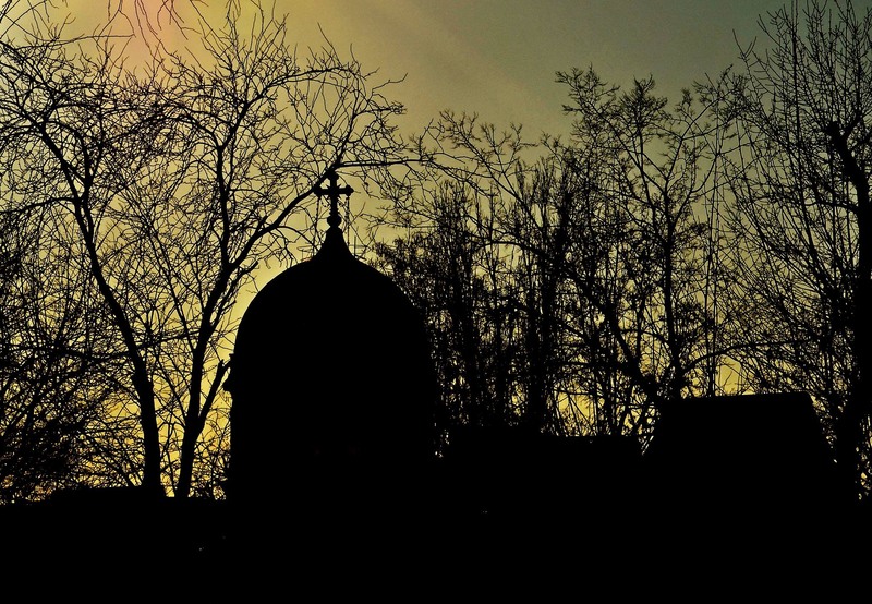 1799147_731155843590753_207692867_o