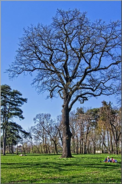 serbanvornicu_mogosoaia_01