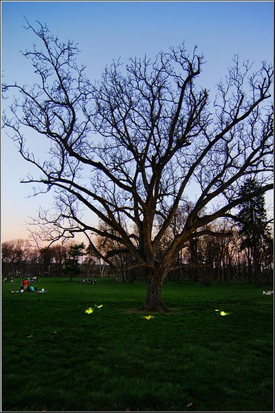 serbanvornicu_mogosoaia_22