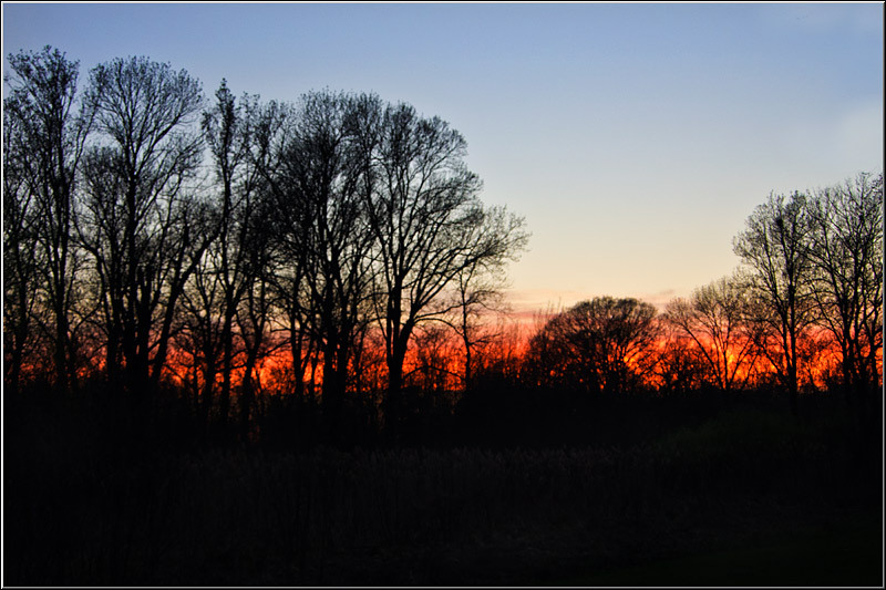 serbanvornicu_mogosoaia_23