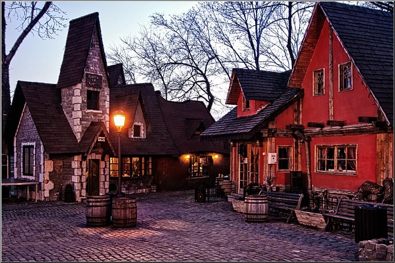 serbanvornicu_mogosoaia_24