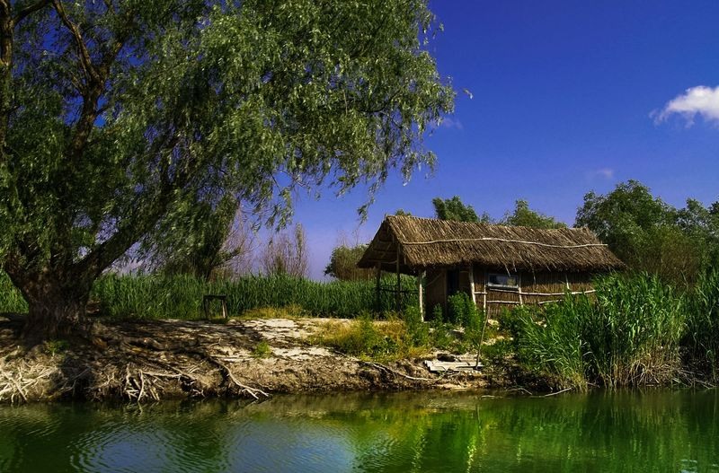 adrian-bolboceanu-03