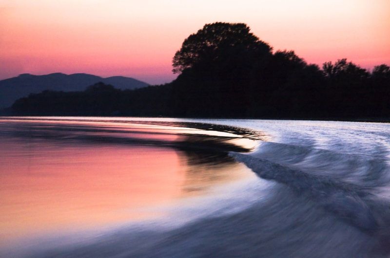 daniel-alexandrescu-1