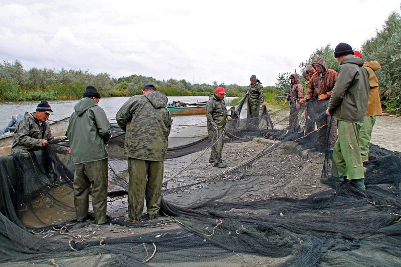 petre-mihaeal_img_2386