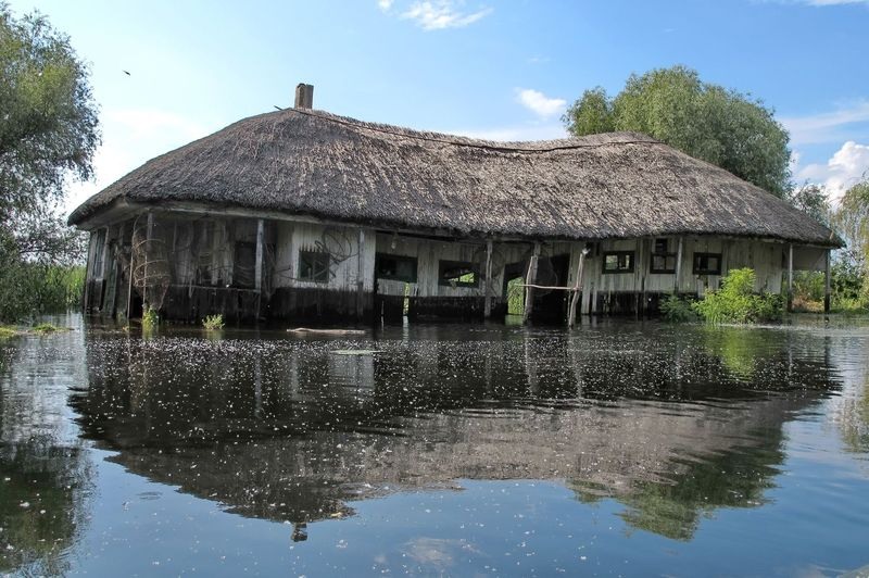 stefan-pelinel-carmen-02