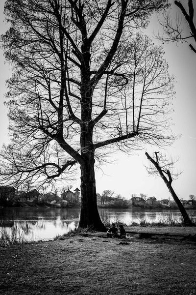 Mogosoaia - la palat