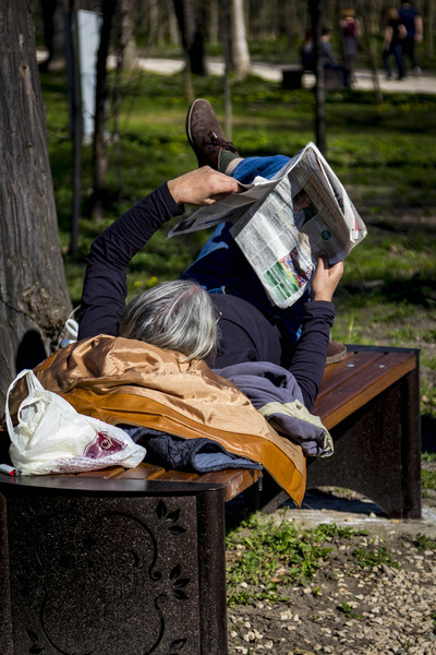 Mogosoaia - la palat