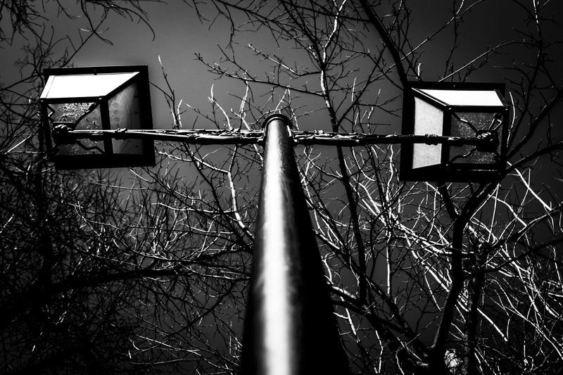 Mogosoaia - la palat