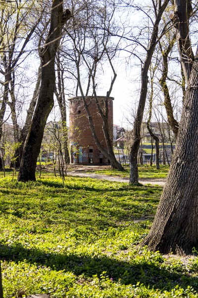 Mogosoaia - la palat