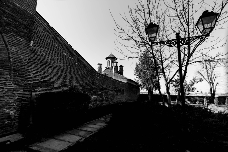 Mogosoaia - la palat