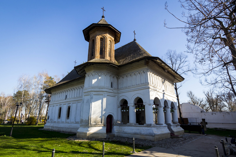 Mogosoaia - la palat