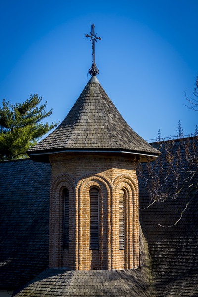 Mogosoaia - la palat