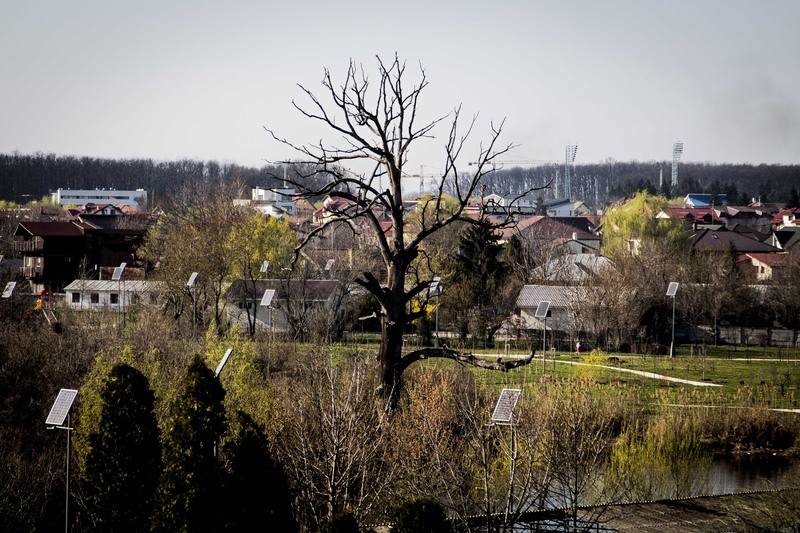 Mogosoaia - la palat