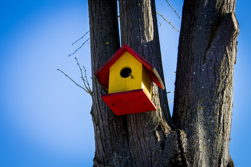 Mogosoaia - la palat