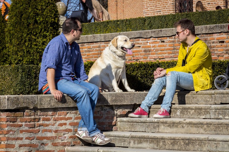 Mogosoaia - la palat