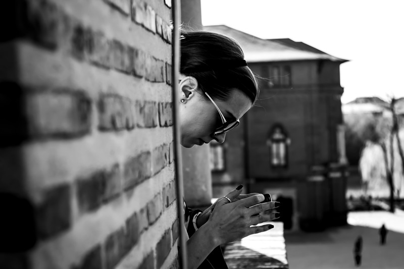 Mogosoaia - la palat