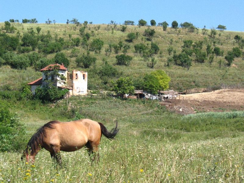 andreiab_iasi_0708_020