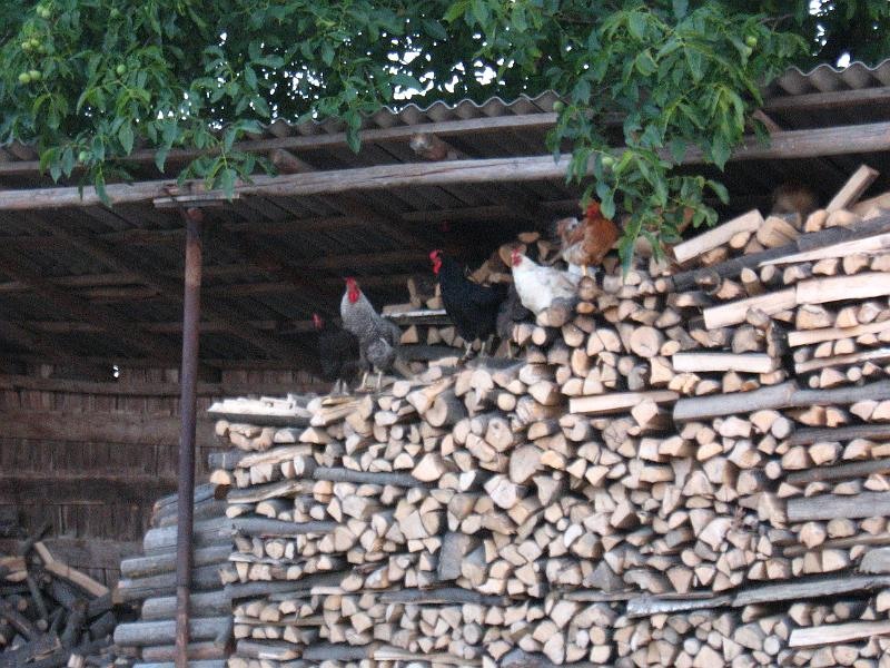 andreiab_iasi_0708_023