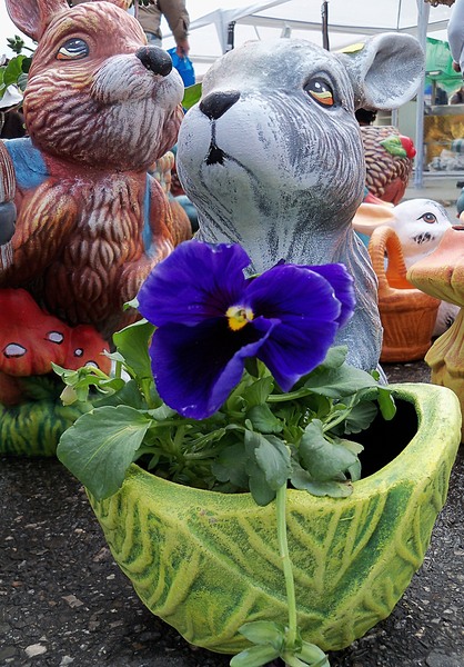 o-floare-pentru-tine