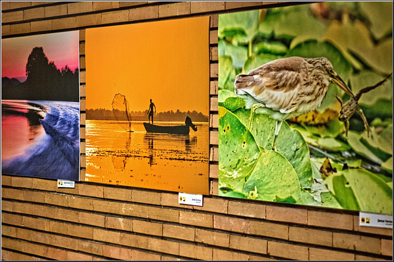 serbanvornicu_expodelta_01