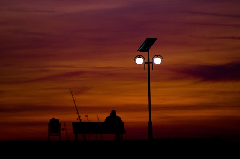 1048401_1452552464964240_33442326_o