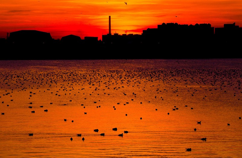 1077597_1452559131630240_869410362_o