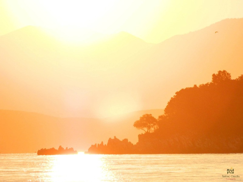 1078624_1397994350420052_1135478340_o